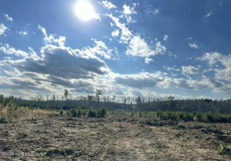 Lot 2 Sheep Pasture Road - Photo 1