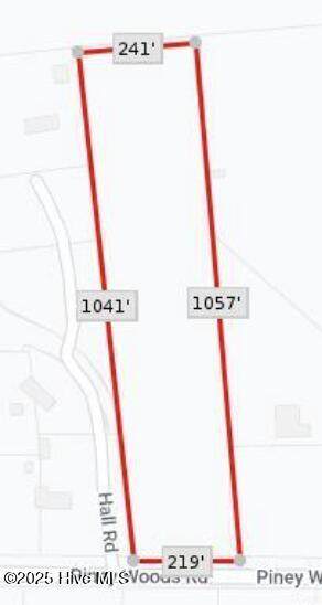 0 Piney Woods Road - Photo 1