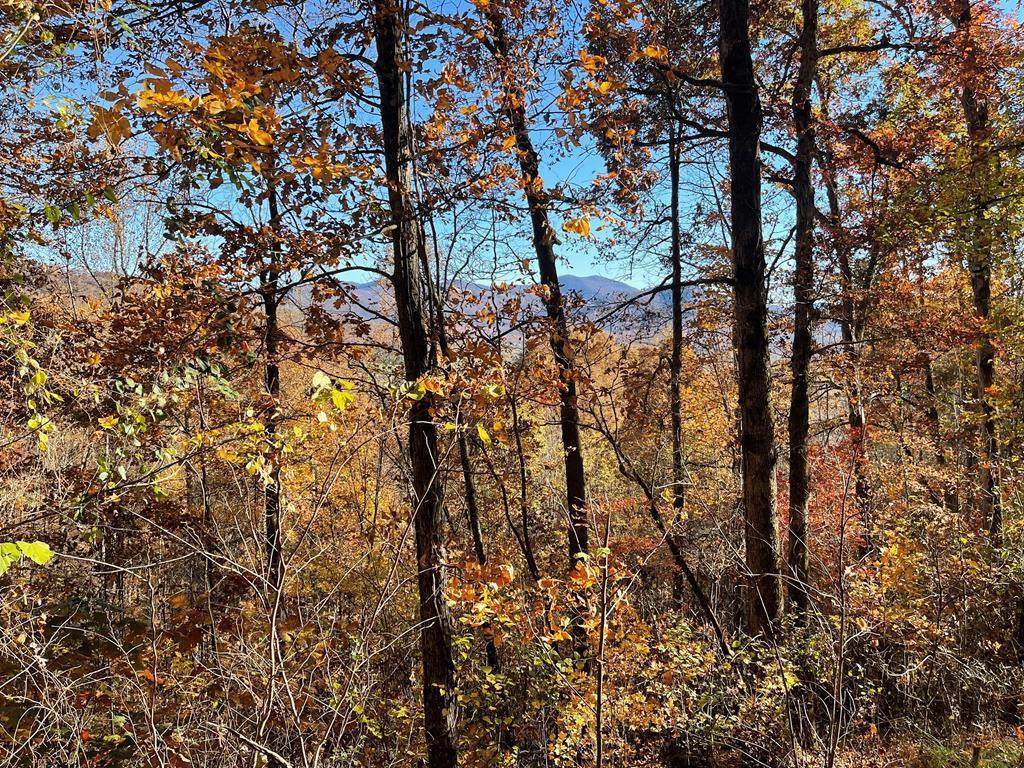36 54C Ash Branch Circle - Photo 1