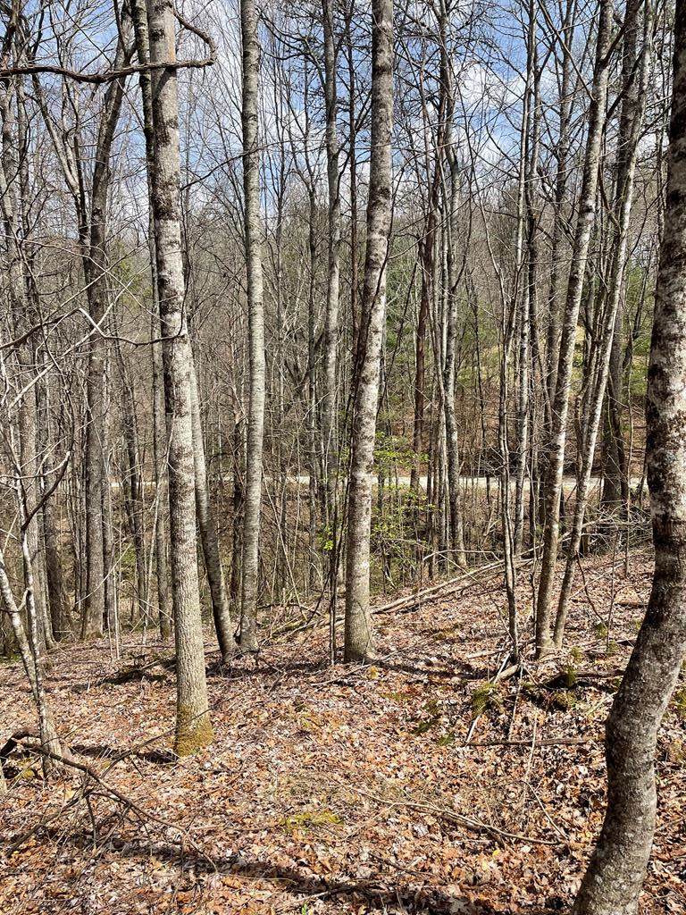 00 Hidden Lakes - Photo 1