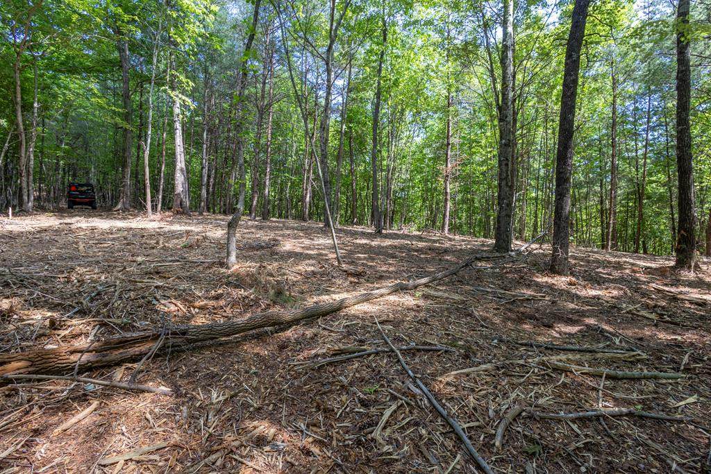 20 AC Pack Mountain Road - Photo 1