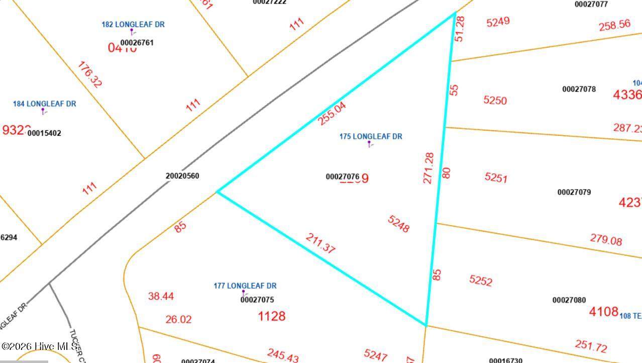 175 Longleaf Drive - Photo 1