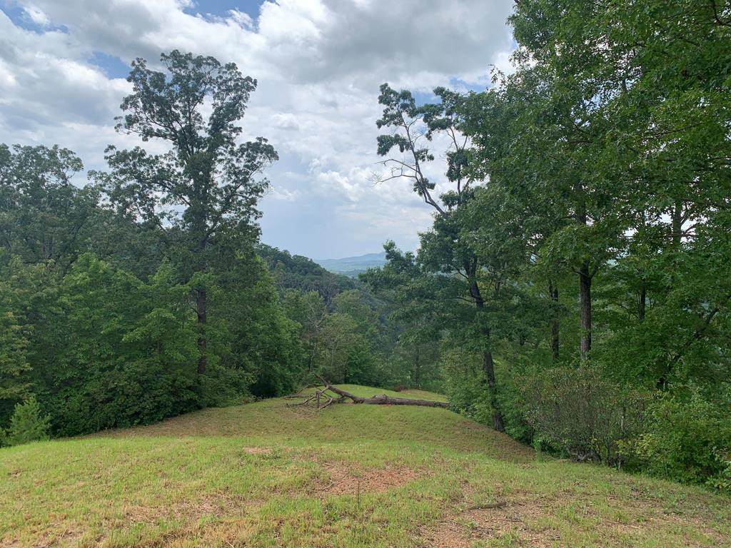 44 & 45 Silo View Lane - Photo 1