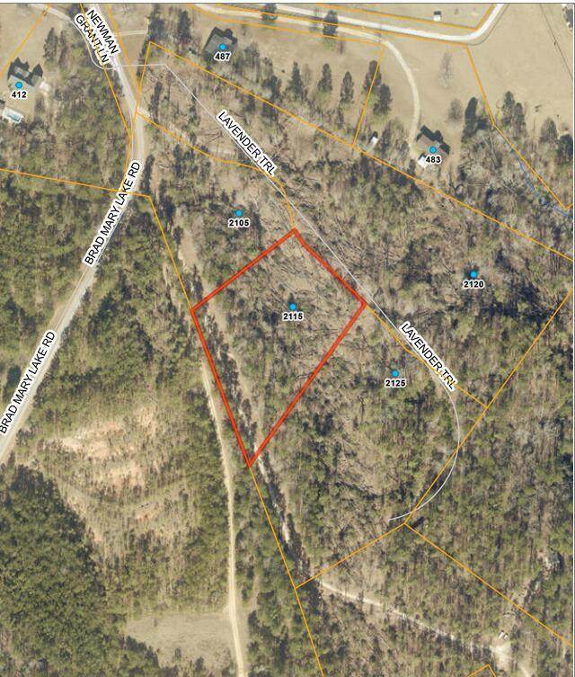 2115 Lavender Trail - Photo 1