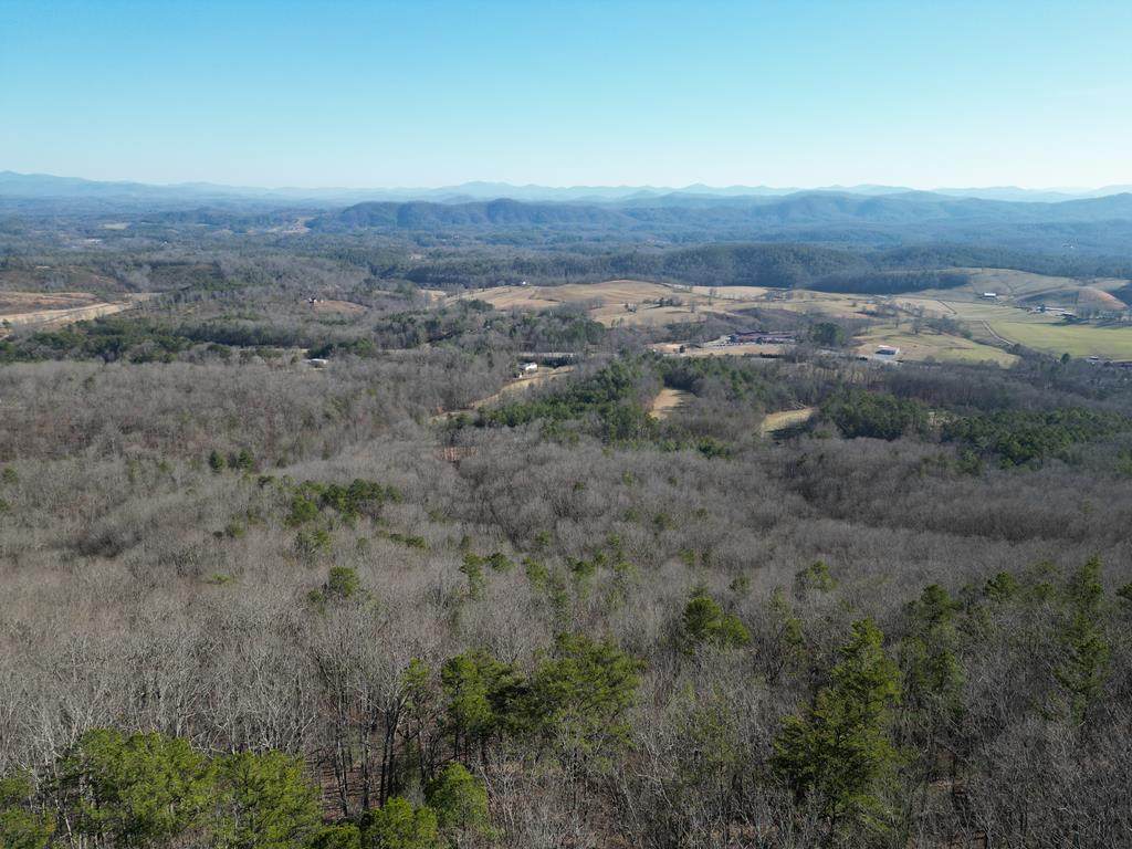 205 ac Treehouse Trail - Photo 1