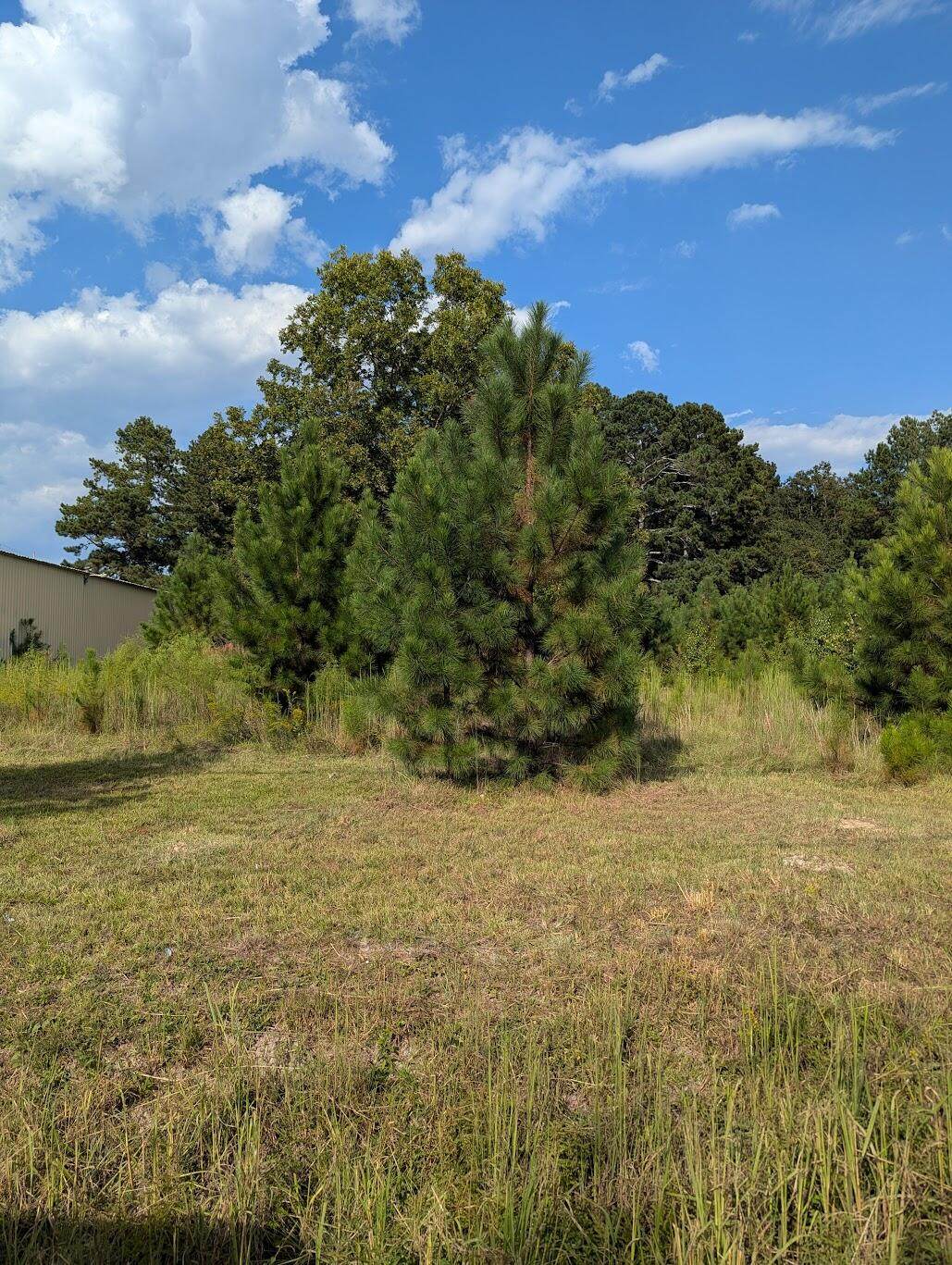 1661 Nixon Road - Photo 1