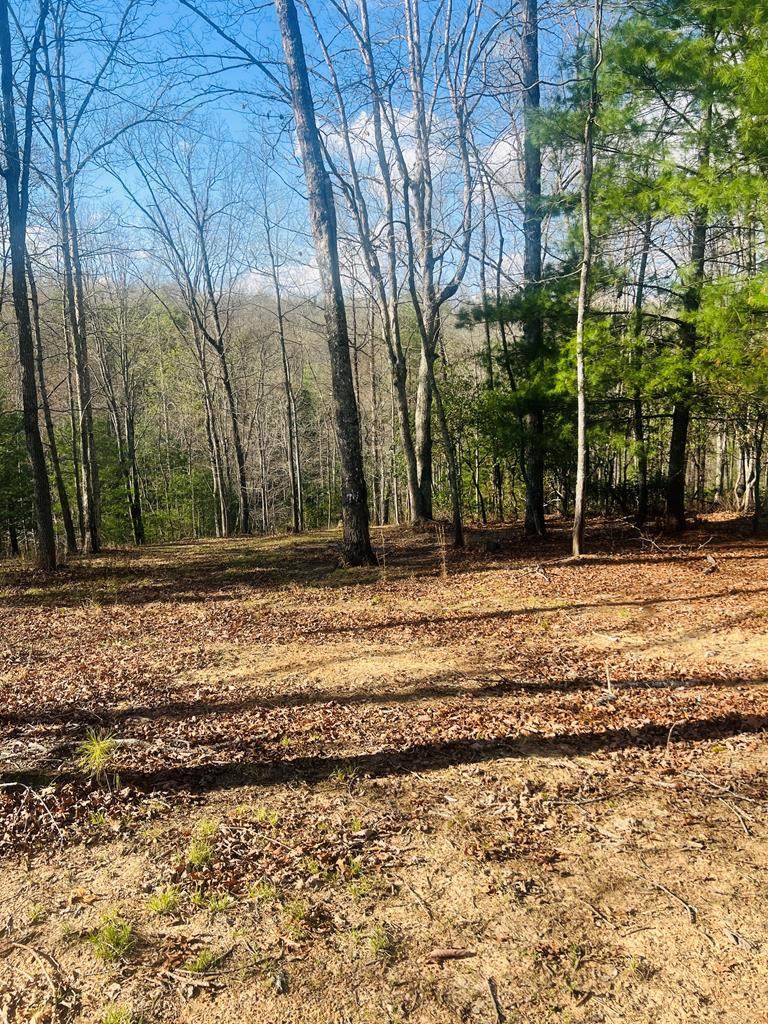 00 Ford Lane - Photo 1