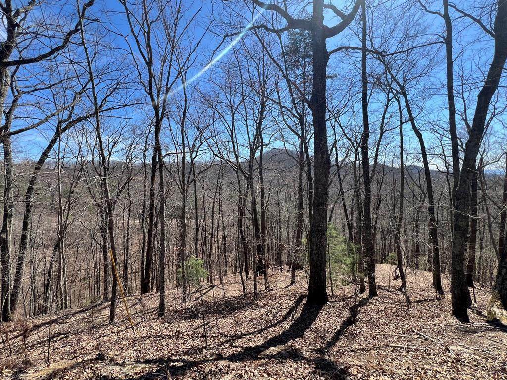 Lot 17 Panorama Dr Wolf Mountain Estates - Photo 1