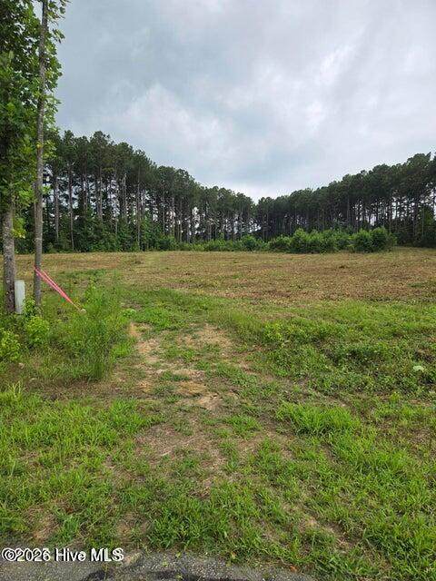 Lot 51 Roseheath Court - Photo 1