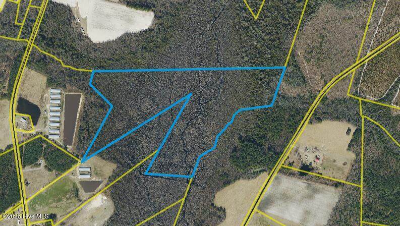 60 Acres 60 Ac Rom M. Smith Tract - Photo 1