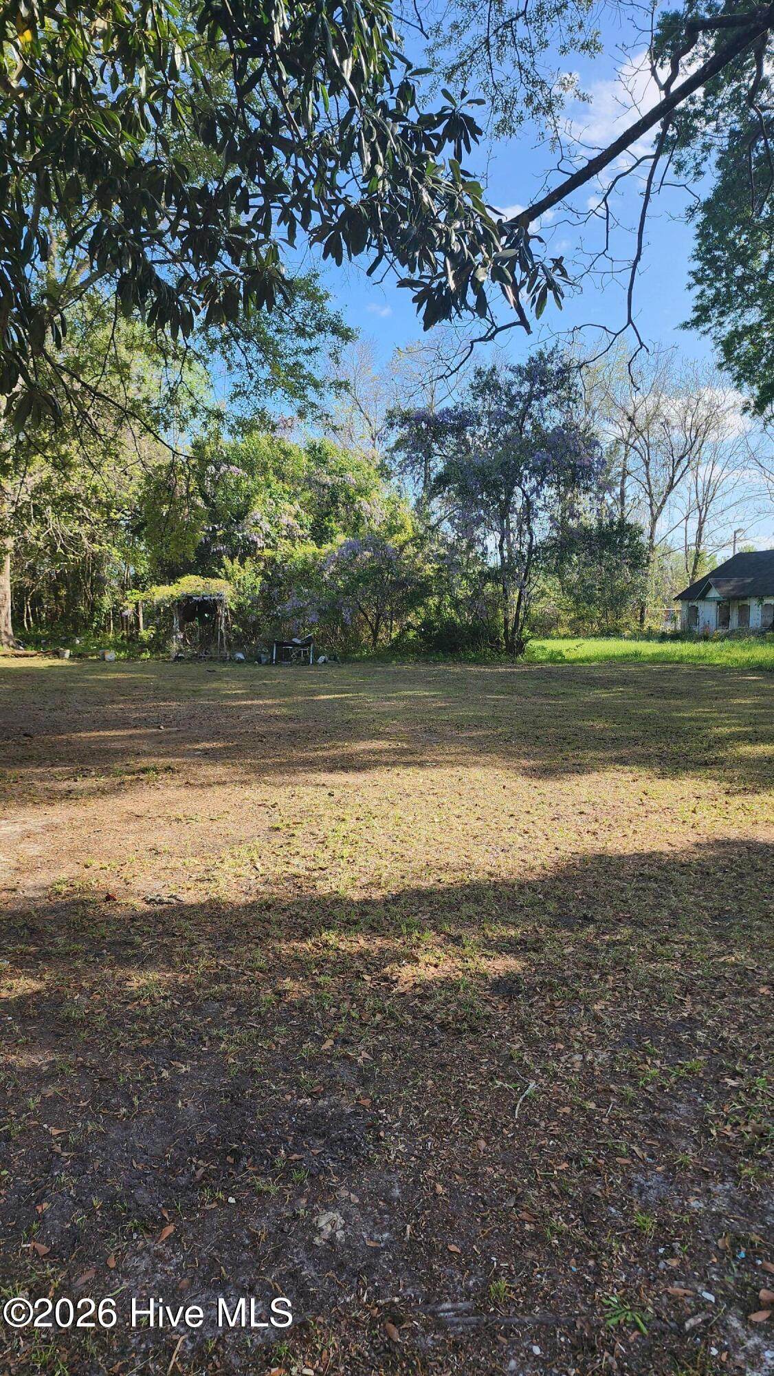 409 Lewis Street - Photo 1