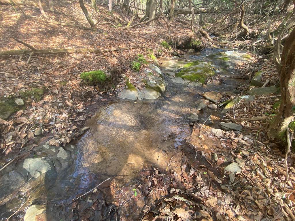 https://bt-photos.global.ssl.fastly.net/ncreg/orig_boomver_1_675cfcc4e803f6a343b4d748873189b5-2.jpg