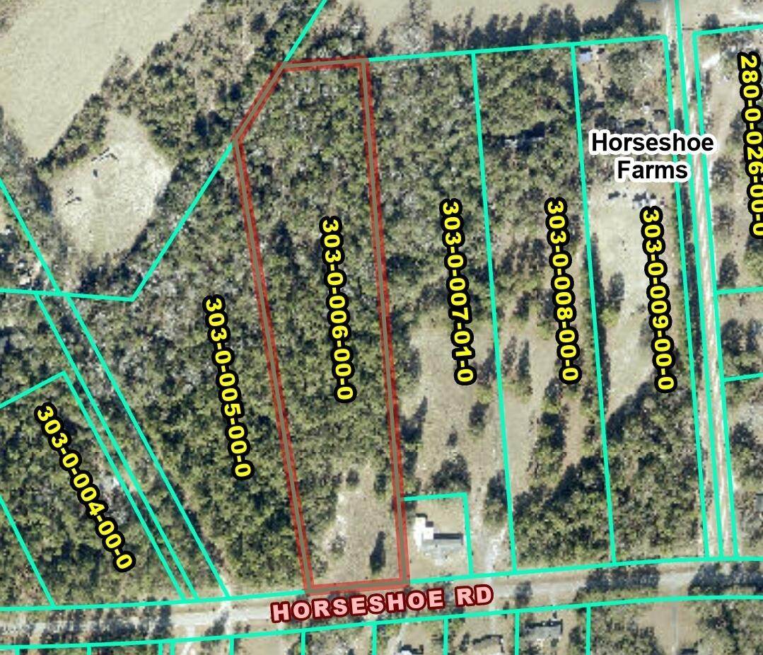 1049 Horseshoe Road - Photo 1