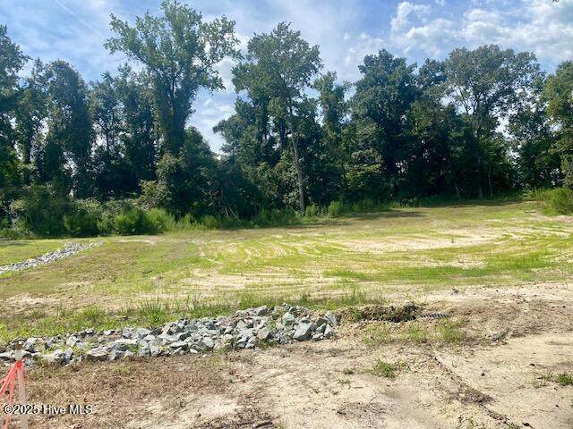 215 Willowbrook Drive - Photo 1