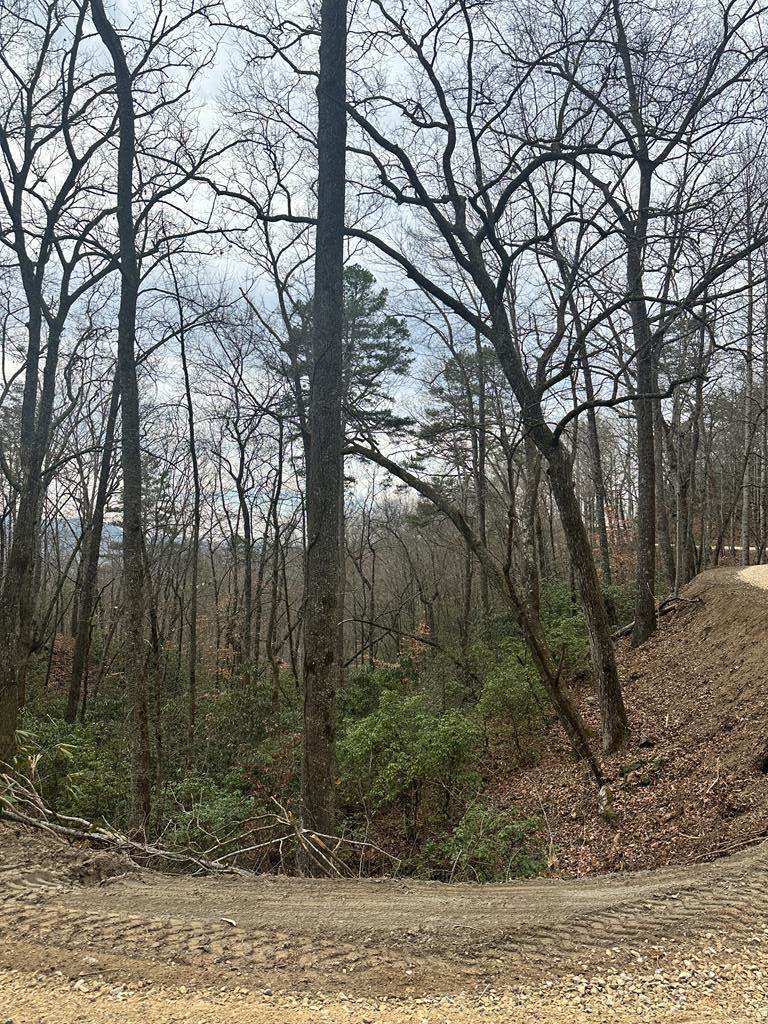 0 Tatham Gap Road - Photo 1