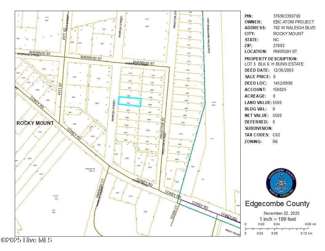 0 Parrish Street - Photo 1