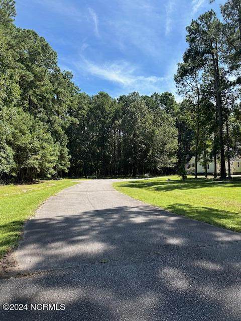 109 Chatooga Court - Photo 1