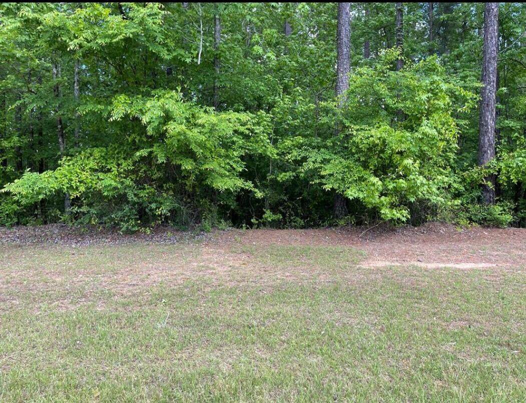 Lot N-17 Captain Johnsons Drive - Photo 1