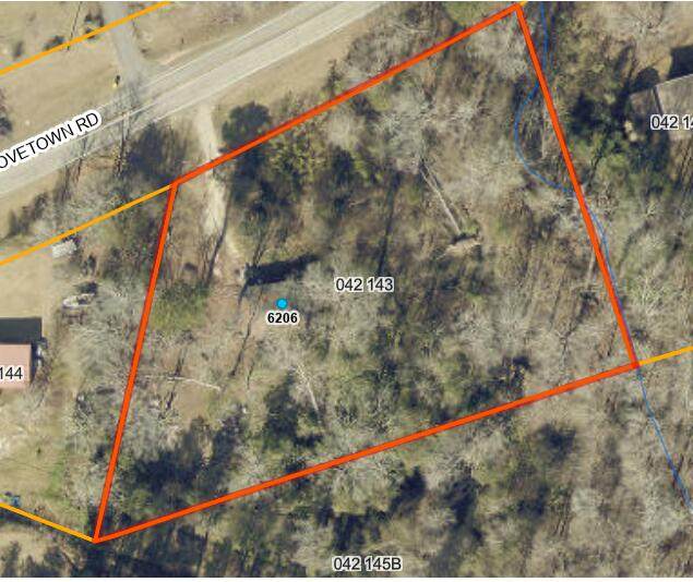 6206 Harlem Grovetown Road - Photo 1