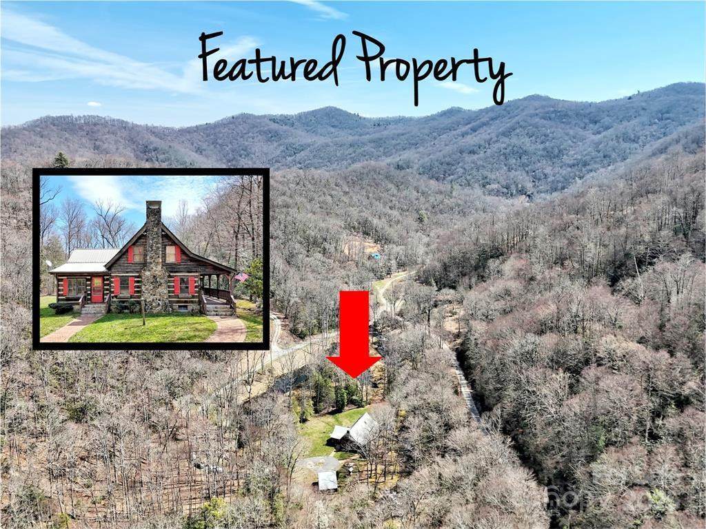 7810 Little Snowbird Road - Photo 1