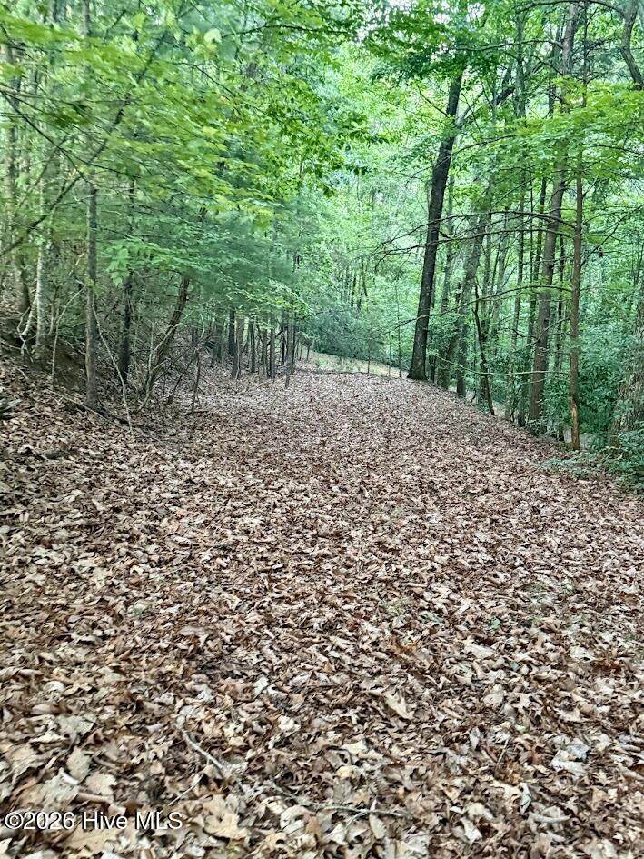 Tbd Lot 43 Pine Cove Lane - Photo 1