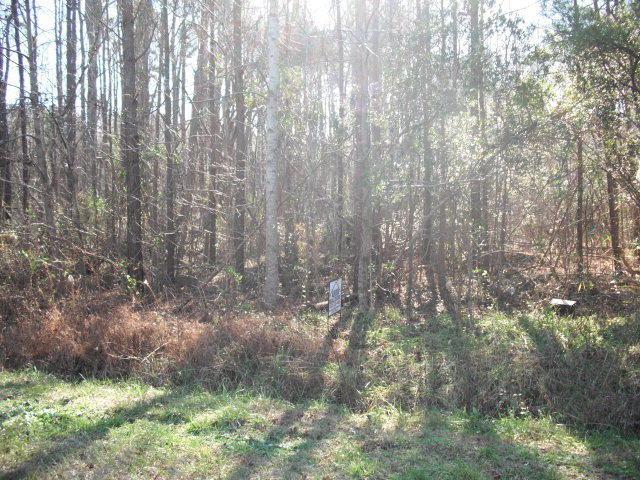 4015 Mayo Drive - Photo 1