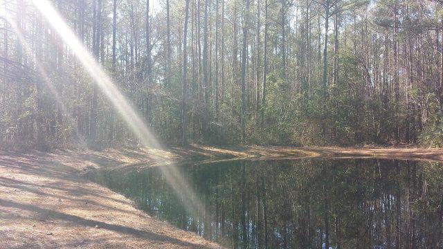 87 Pamlico River Drive - Photo 1