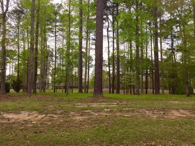 Lot 387 Neuse Drive - Photo 1
