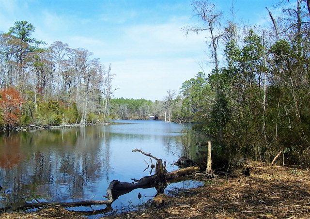 000 Pansy Lane, Blounts Creek, NC 27814 (MLS #70032138) :: Century 21 Sweyer & Associates