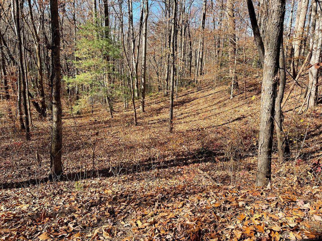 TBD Ashe Knob Drive - Photo 1
