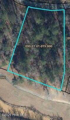 L-019 Militia Loop - Photo 1
