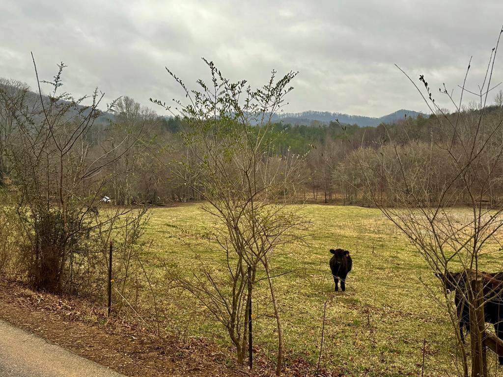 3754 Highway 68 S - Photo 1