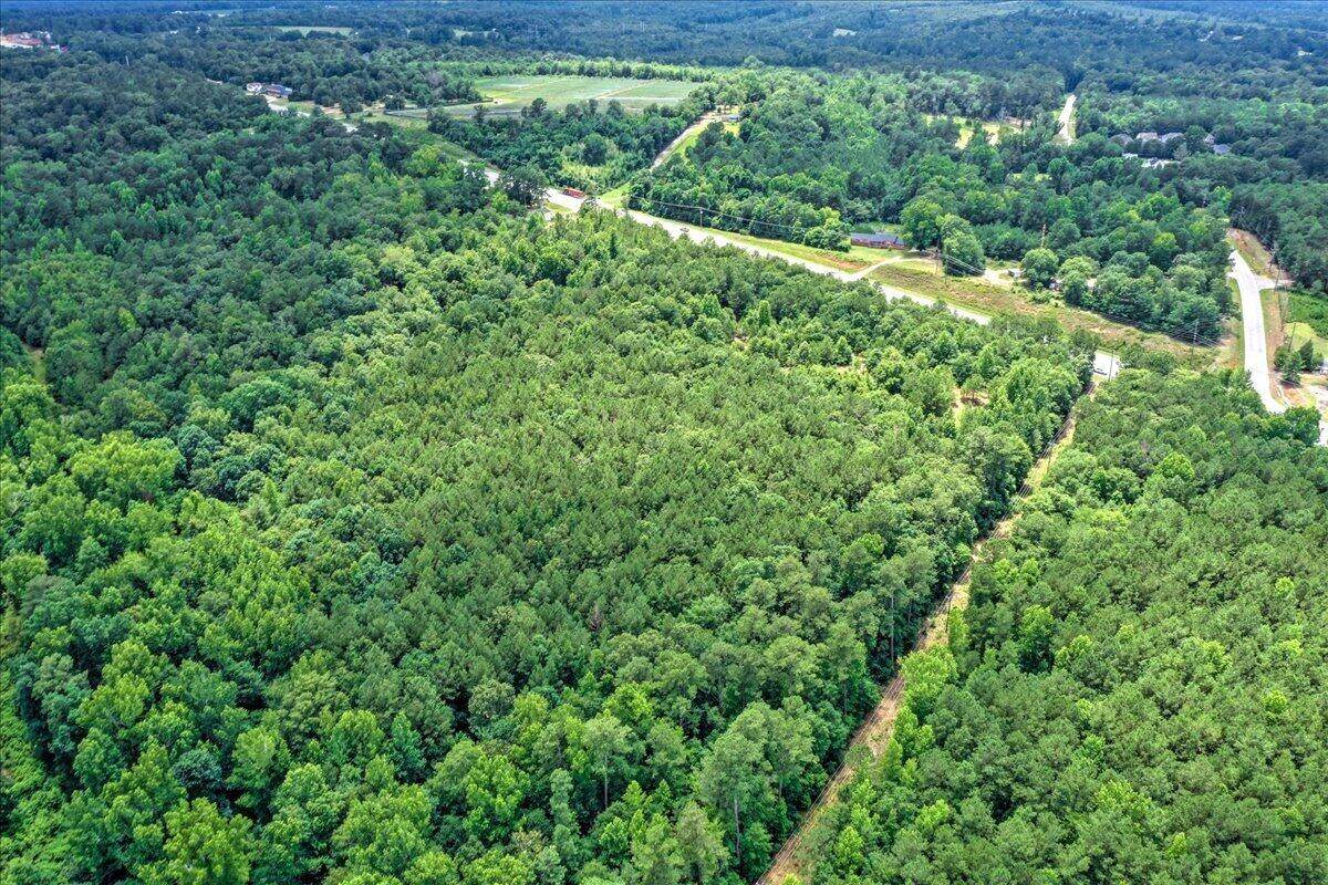 4012 Peach Orchard Road - Photo 1