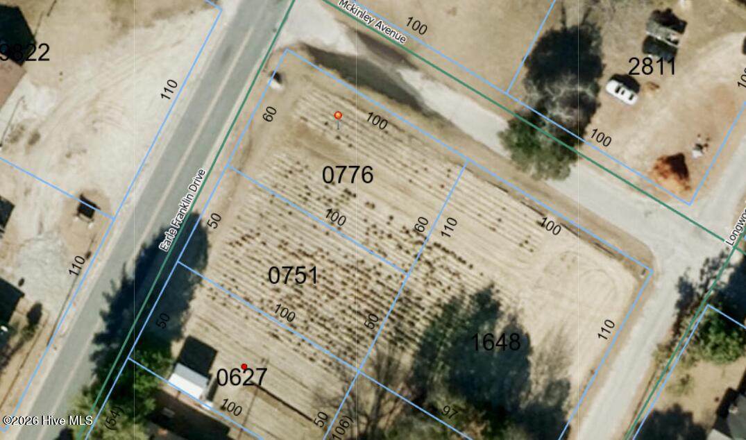 Tbd Earle Franklin Drive - Photo 1