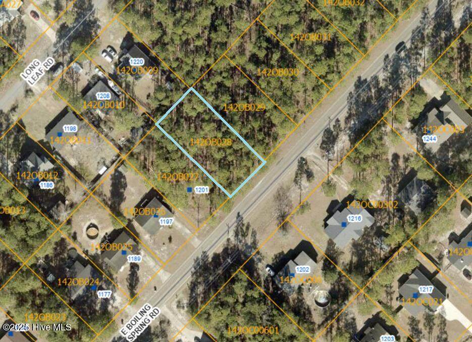 Lot 10 Boiling Spring Road - Photo 1