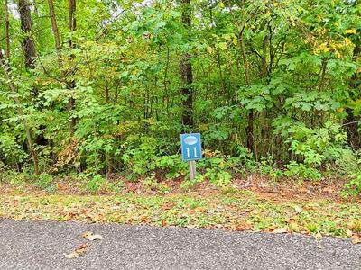 Lot 11 Skyview Drive - Photo 1