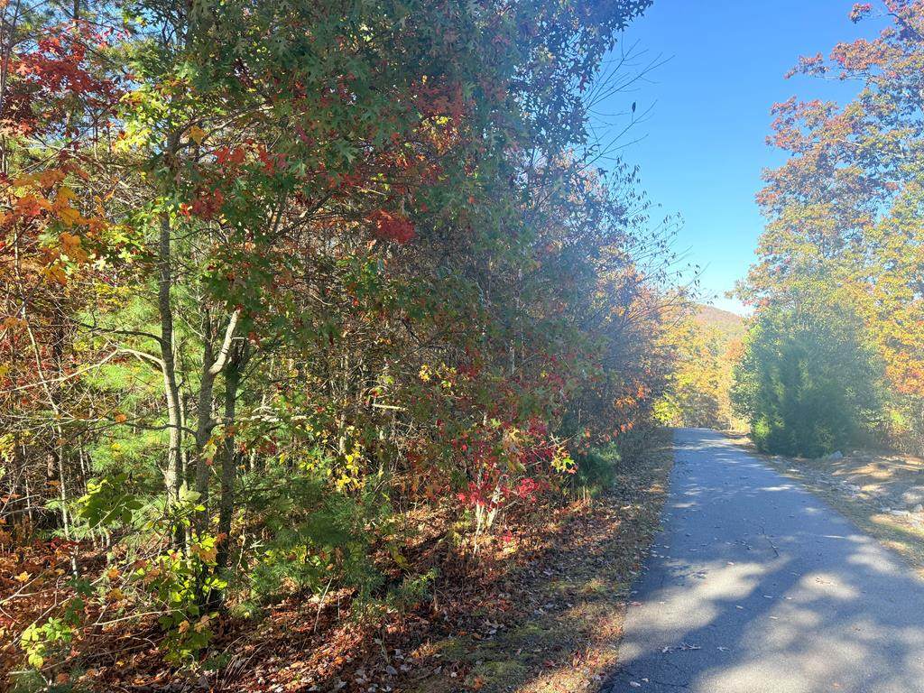 Lot 25 Hideaway Ridge Drive - Photo 1
