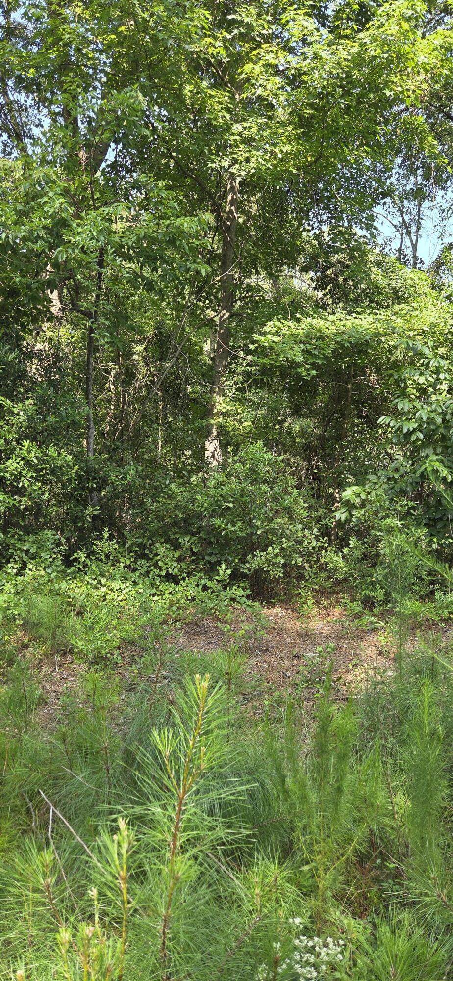 0 Cherokee Drive - Photo 1