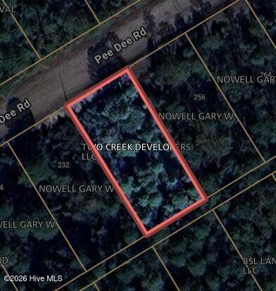 Tbd Pee Dee Road - Photo 1