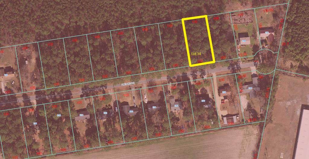 00 Pineland Avenue - Photo 1