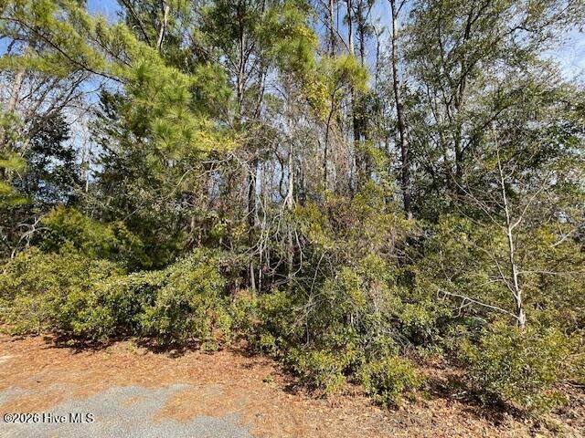 38 Lot Cedar Find Cove - Photo 1
