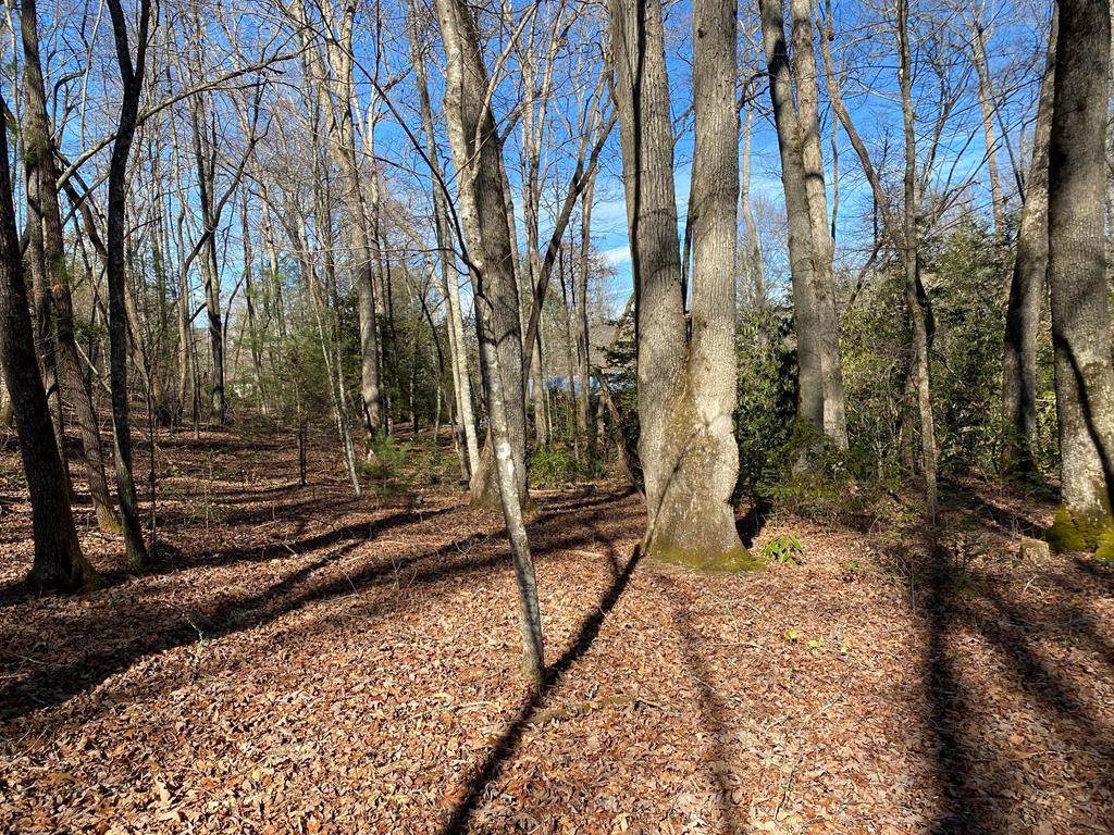 TBD Collett Wood Cove - Photo 1