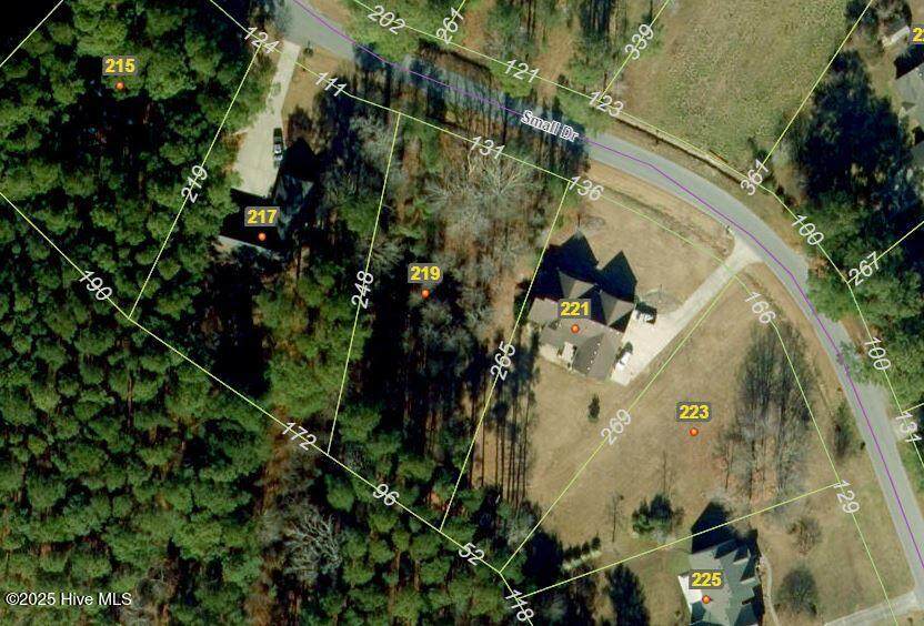 219 Small Drive - Photo 1