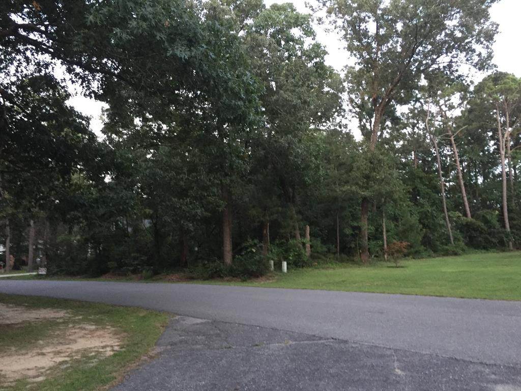 209 Dobbs Drive - Photo 1