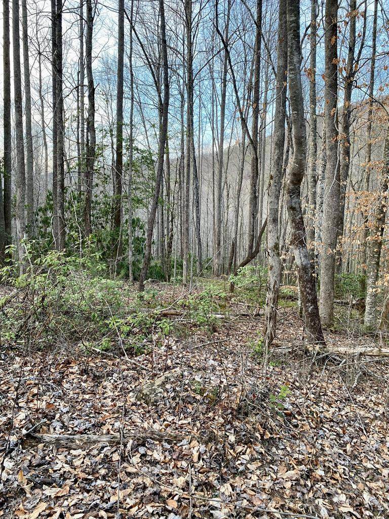 00 Carringer Road - Photo 1