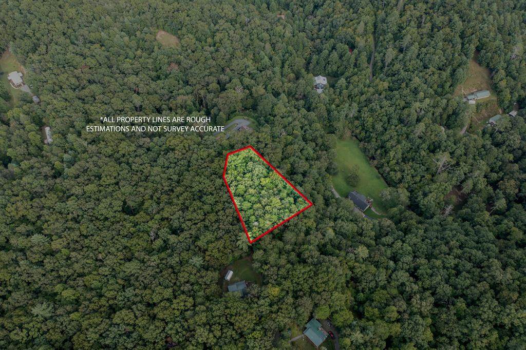 Lot 26 Persimmon Road - Photo 1