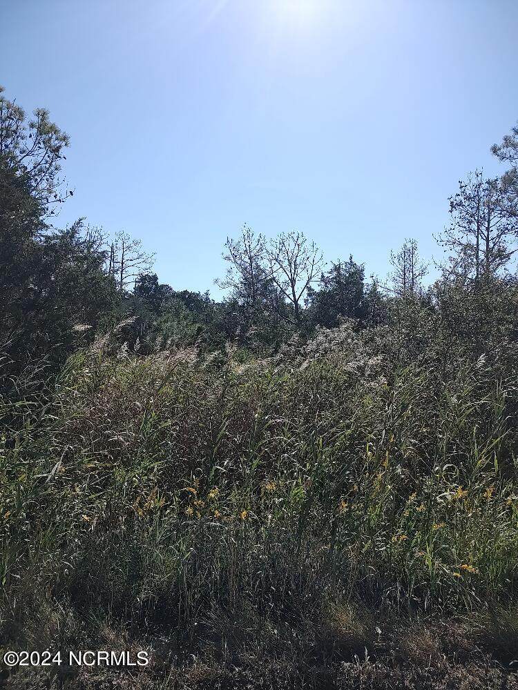 Tract A Meekins Road - Photo 1