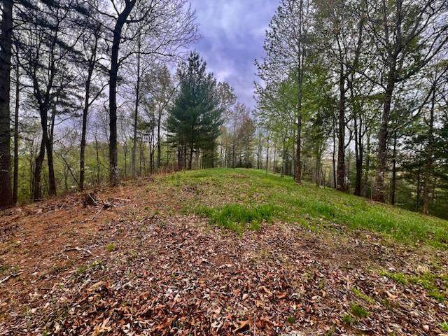 TR1-23 Majestic Mountain Trail - Photo 1