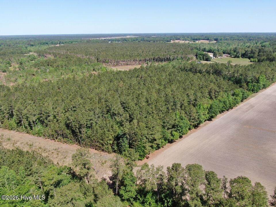 20.51 Acre Sweat Drive - Photo 1