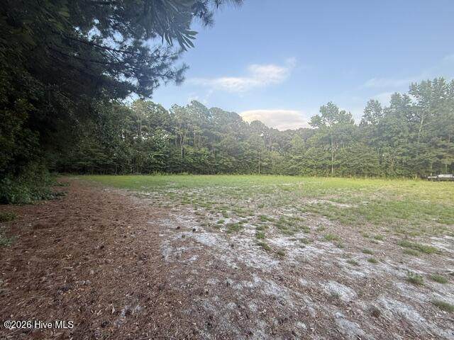 1005 Regal Road - Photo 1